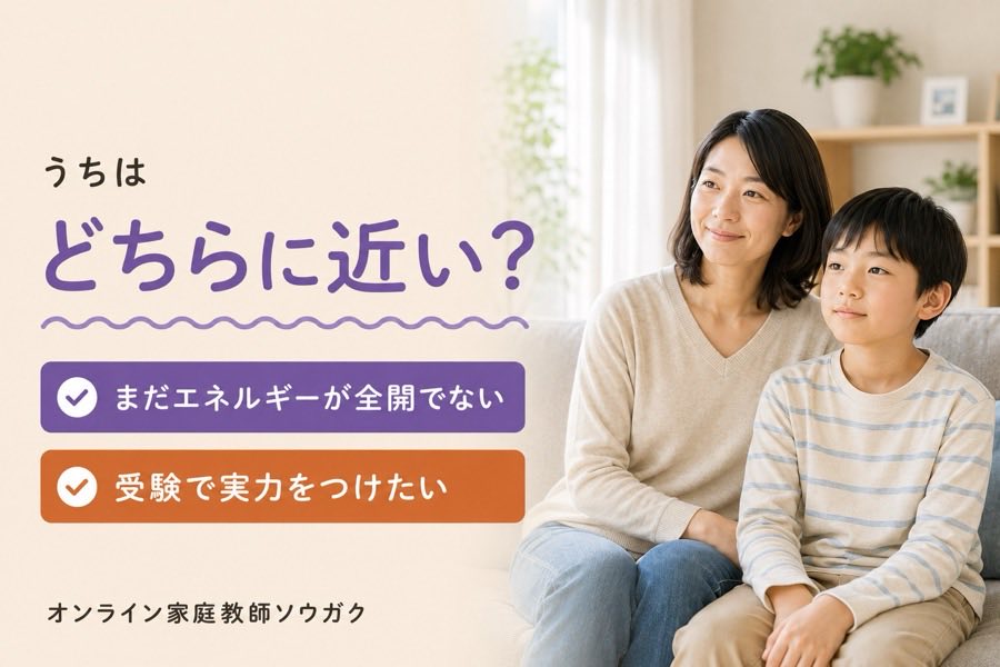 ソウガクが向いている家庭とほかが合うかもしれない家庭